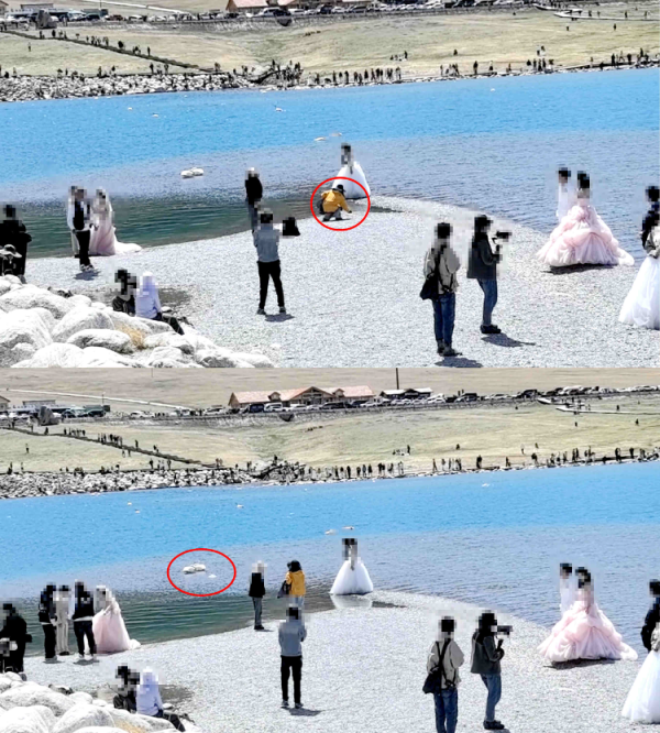 加配网 赛里木湖景区有商拍人员拿石子砸天鹅？景区回应：查实会将其拉入黑名单