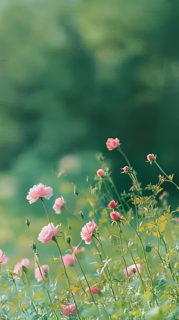 红腾网配资 敬过往，爱当下，向未来