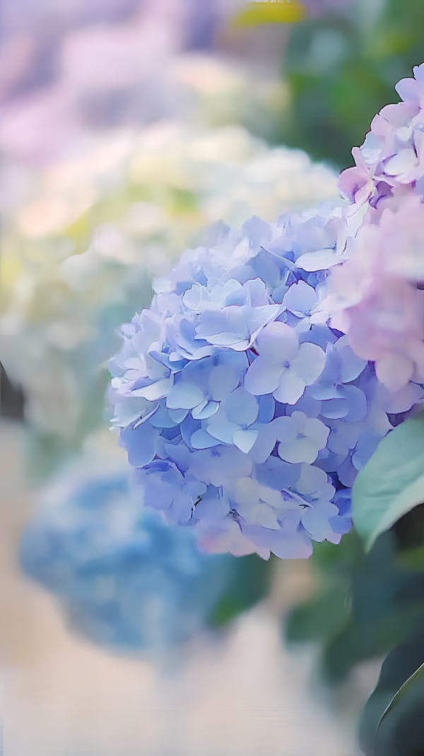 非凡策略 说话留德，做事留心，人生留白