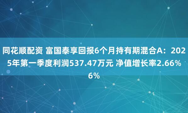 同花顺配资 富国泰享回报6个月持有期混合A：2025年第一季度利润537.47万元 净值增长率2.66%